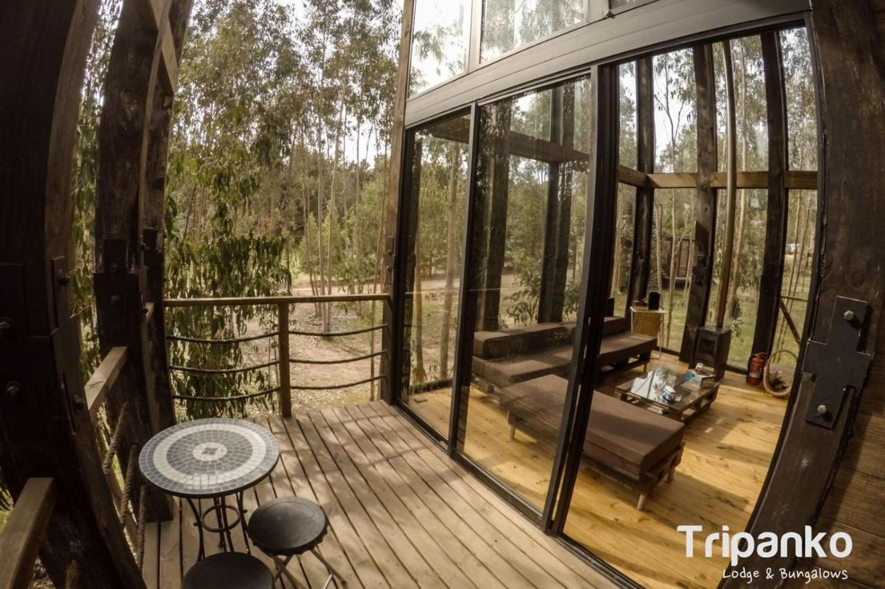 Tripanko Lodge & Bungalows Pichilemu Exterior foto